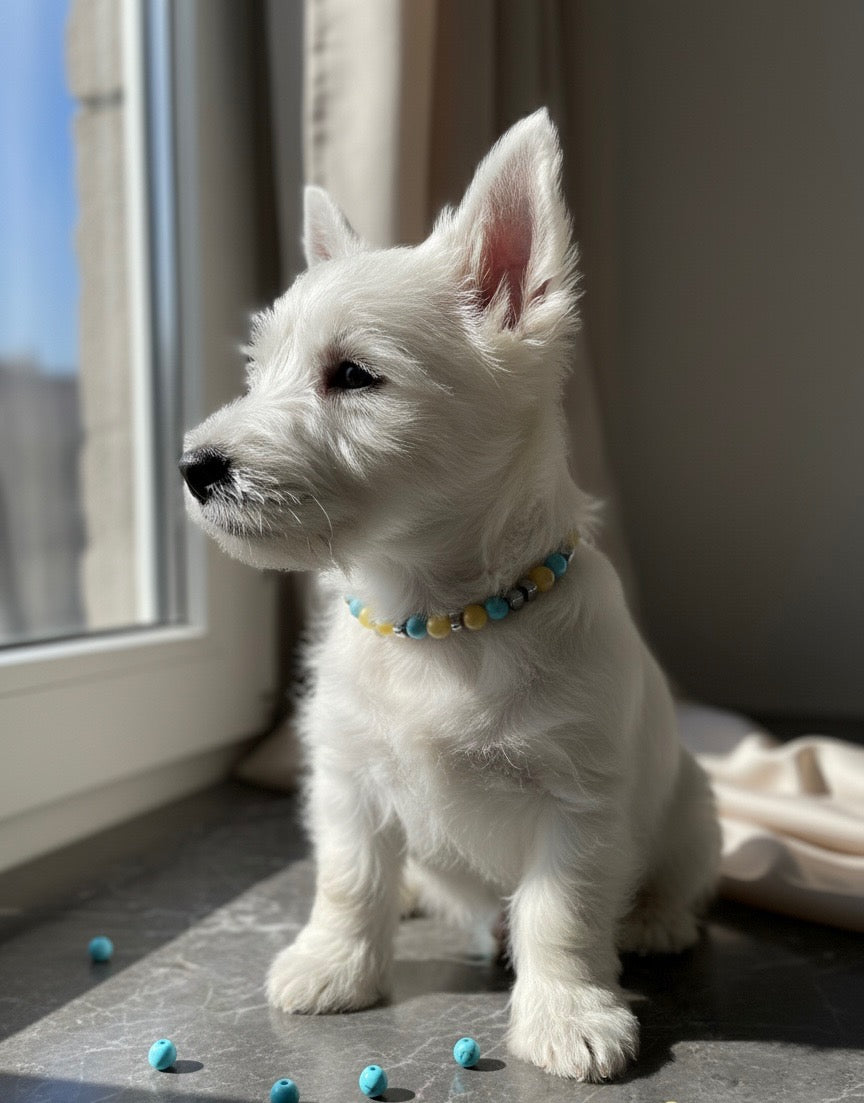 Collier Protection, Vitalité & Équilibre Émotionnel